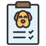 A Complete Checklist for Moving with Pets