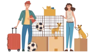 A Complete Checklist for Moving with Pets